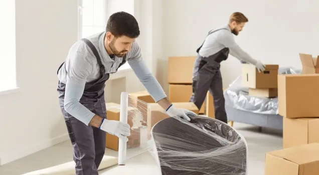 Packers and Movers Team Working