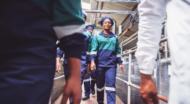 Packers and Movers Team Working